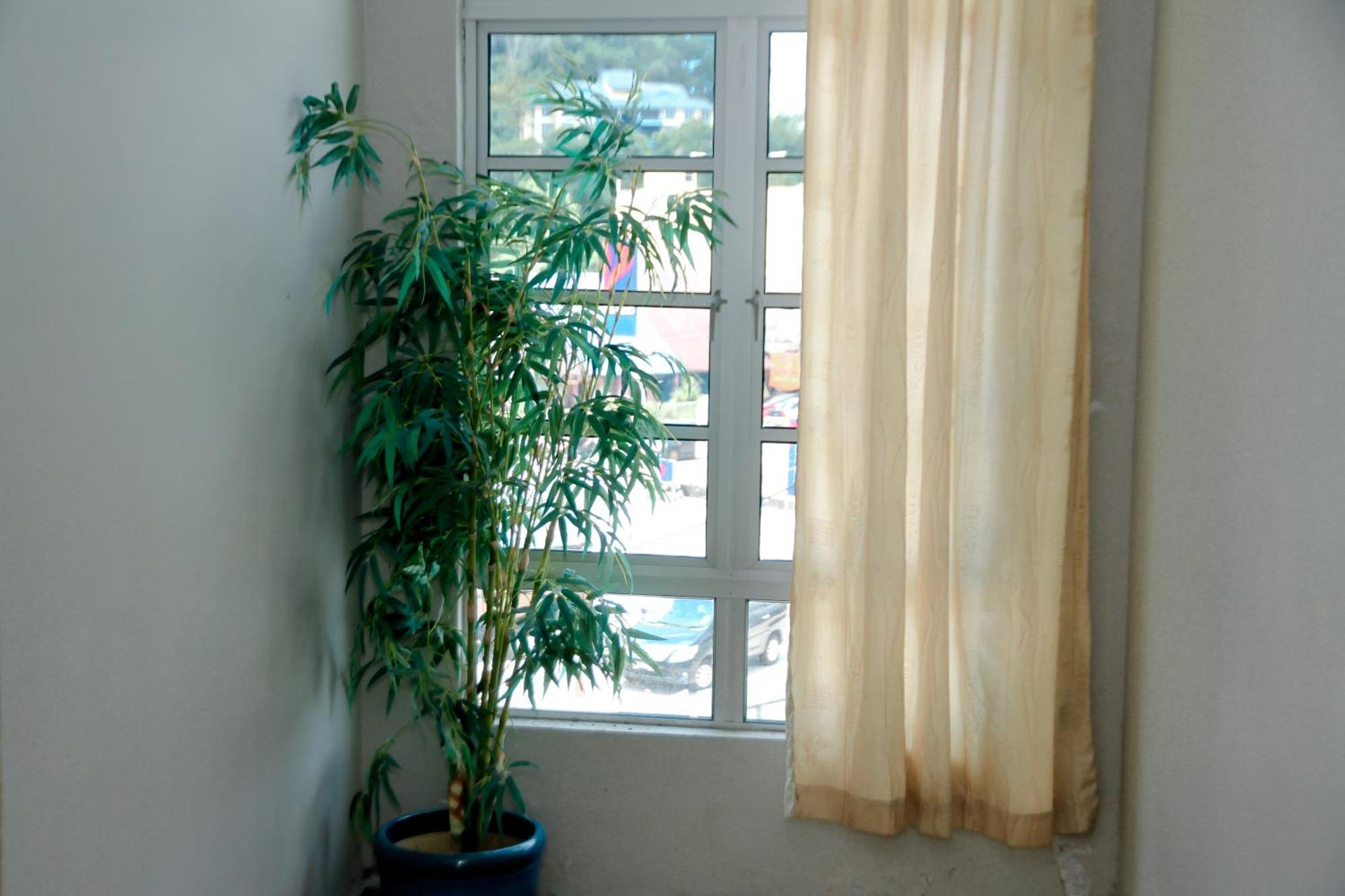 Hotel D View Mersing Εξωτερικό φωτογραφία
